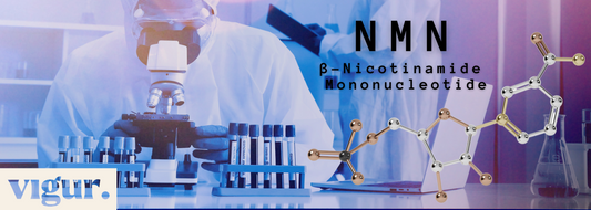NMN Norge fordeler forskning studier
